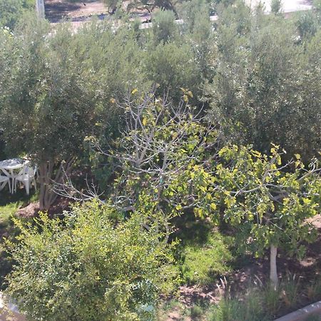 에사우이라 Les Jardins Fleuris B&B 외부 사진